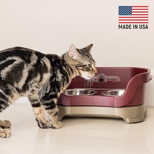 Neater Pet Brands Feeder Deluxe for Cats - Cranberry (200) - Image 2