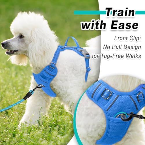 BARKBAY Dog Harness for Small Sized Dog No Pull Mesh 2 Clips Dog Vest - Image 2