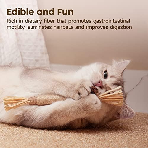 Potaroma 6 Pcs Natural Silvervine Sticks Cat Toys, Catmint Silvervine Blend Sticks, Kittens Chew Toys for Teeth Cleaning, Matatabi Dental Care Cat Treat, Edible Kitty Lick Toys - Image 3