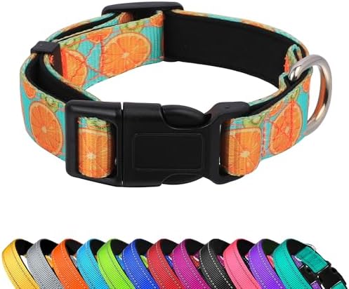 Reflective Dog Collar, Adjustable Neoprene Padded,Summer Lemon,L by PWOD