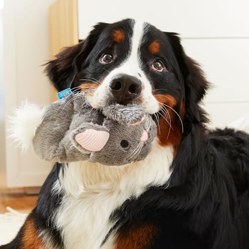 BarkBox Itty & Bitty the Bunny Slippers Dog Toy - 2-in-1 - Image 4