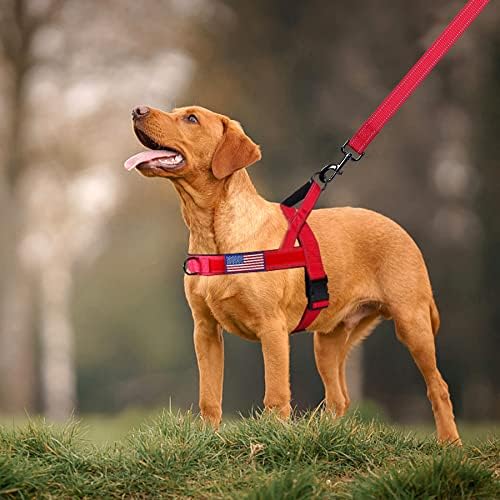 Annchwool No Pull Dog Harness with Padded Handle+5 Ft Leash,Reflective Strip Escape Proof and Quick Fit to Adjust Dog Harness,Easy for Training Walking for Small & Medium and Large Dog(Red-Set,M) - Image 6