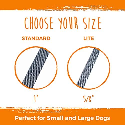 Mighty Paw Double Dog Leash - Double Leash for Two Dogs No Tangle Design. Split Lead for 2 Pets. Adjustable to Fit All Sized Breeds. Reflective Dual Pet Lead for People with 2 Pups - Image 2