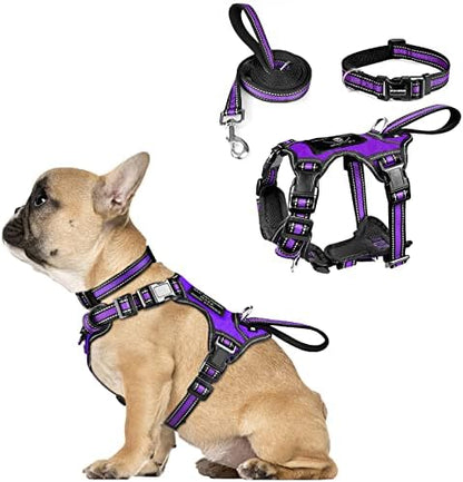 WINSEE Pet Harness Collar and Leash Set, All-in-one Reflective Dog Harness No Pull with Adjustable Buckles for Puppies, Small, Medium, Large, and Extra-Large Dogs (Small, Purple) by WINSEE