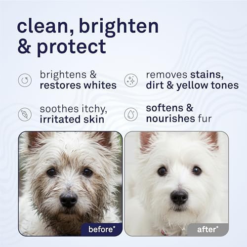 Petpost | Dog Whitening Shampoo with Coconut Oil & Aloe. Brightens White & Light Coats, Moisturizes Skin. Watermelon Scent. 16 oz - Image 2