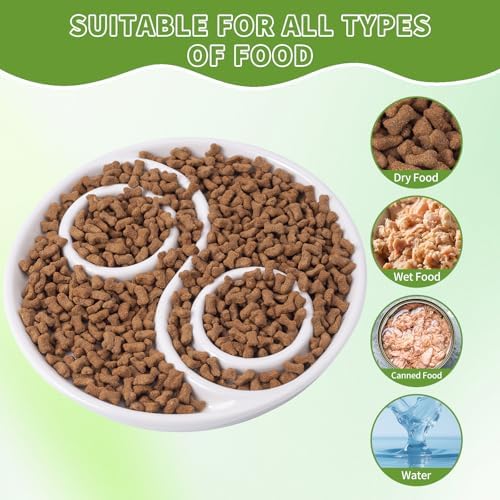 Ceramic Cat Slow Feeder,Shallow and Wide Opening Dish for Whisker Friendly - Image 4