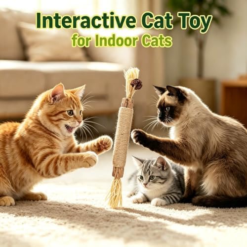 8Pack Silvervine Sticks for Cats Natural Dental Chew Catnip Toys, Teeth Cleaning & Gum Care, Kitten-Safe Indoor Cat Treat - Image 7