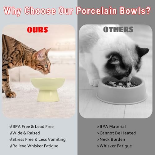 6.1" Wide 1.57" Deep Elevated Cat Bowls, Ceramic Water Bowls for Flat Faced Cats,Cat Feeder,Stress Free,Protect Cat’s Spine,Cream - Image 6