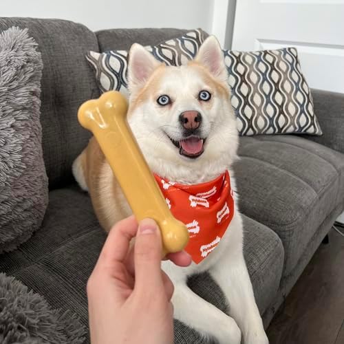 Nylabone Power Chew Classic Bone Chew Toy for Dogs, Durable Dog Toys for Aggressive Chewers, Peanut Butter Flavor, Medium/Wolf - Up to 35 lbs. (1 Count) - Image 2