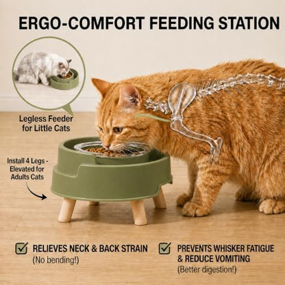 2 Pack Ant Not Cross Elevated Cat Bowls - 4 Food Grade Glass Bowls & 2 Lids - Cat Food and Water Feeding Bowl for Cats&Kittens&Puppy Indoor & Outdoor,Whisker Fatigue Dish,Avocado Green - Image 5