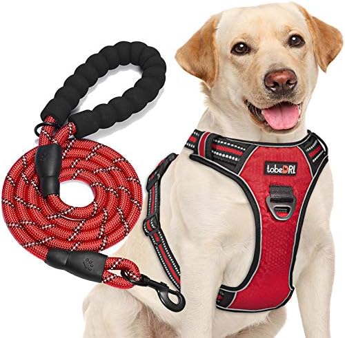 tobeDRI No Pull Dog Harness Adjustable Reflective Oxford Easy Control Medium Large Dog Harness with A Free Heavy Duty 5ft Dog Leash, Red, L by tobeDRI