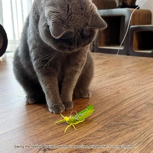 TTcat 3 Pack Grasshopper Cat Wand Refills, Realistic Green Insect Natural Feather Detachable Replacement Toy with Bell, Universal Lobster Clip-on Cat Teaser Attachments. - Image 6