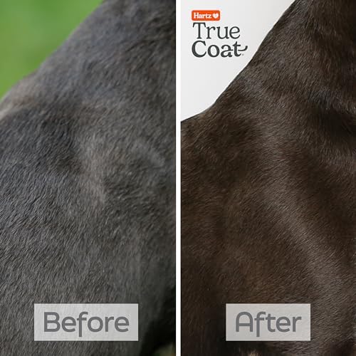 True Coat Short & Smooth Coat Dog Shampoo, 5 in 1 Soothes & Shines with Oat Milk, Coconut Oil & Vitamin E, 16 oz - Image 5