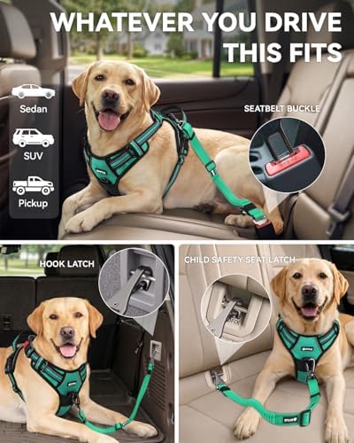 Joytale 3-in-1 Bungee Dog Seat Belt for Car, Medium and Large Dogs, Teal - Image 2