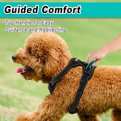 BARKBAY Dog Harness for Small Sized Dog No Pull 2 Leash Clips Dog Vest - Image 4