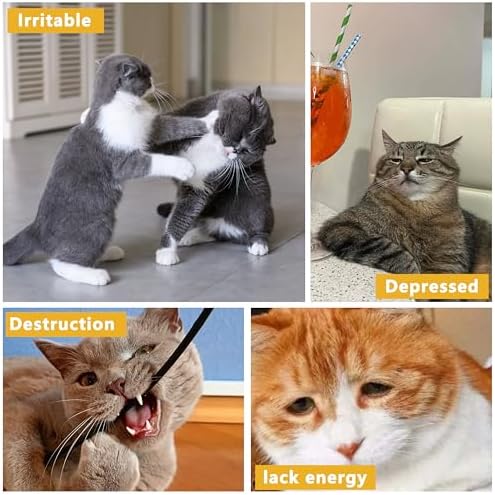 3 Pack Catnip Toys,Soft and Durable Cat Pillows Toys, Funny cat Toy - Image 5