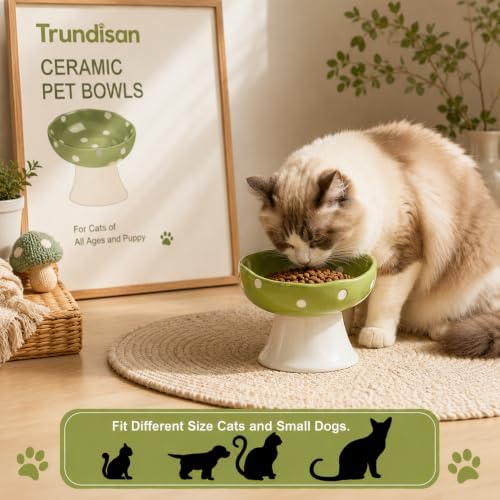 Mushroom Cat Bowl, Elevated Ceramic Cat Bowl, Avocado Green - Image 6