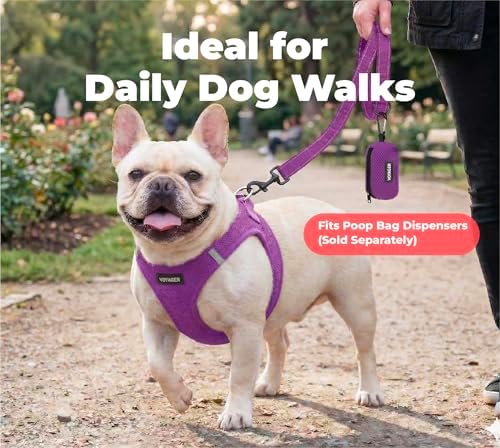 Best Pet Supplies Voyager Nylon Dog Leash - 6ft Purple, Large - Image 3