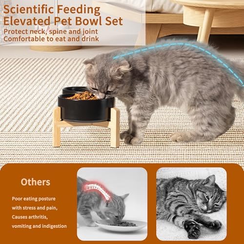 Elevated Ceramic Dog Bowl, 2 Cups Dog Food and Water Bowl Set with Stand - Image 4