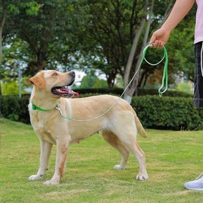 Waterproof Dog Leash, 5/6 FT Durable Odor-Proof Dog Leashes with Strong Metal Hooks Fits Small Medium or Large Dogs (Green, 5FT - 3/4 inch Width) - Image 6