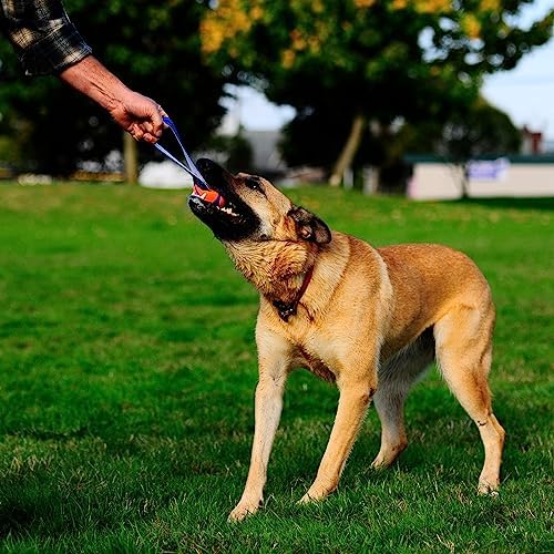 Chuckit! Ultra Tug Dog Toy, Durable Nylon Cord Handle, Large 3-in - Image 2