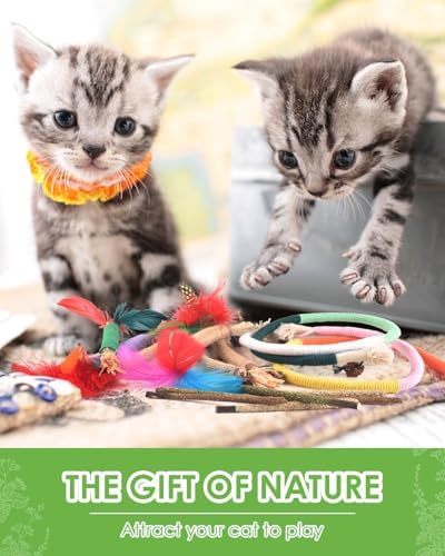 TINDTOP Cat Chew Toys, Silvervine Chew Sticks with 2 Pack Chew Ropes - Image 6