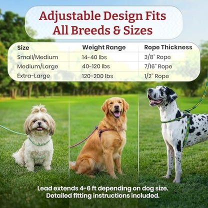 Harness Lead No Pull Dog Harness and Leash Set, Anti Pull Dog Harness for All Breeds and Sizes, One-Piece Cushioned Rope Design Safely Prevents Escaping and Pulling (Medium/Large, Orange/Reflective) - Image 6