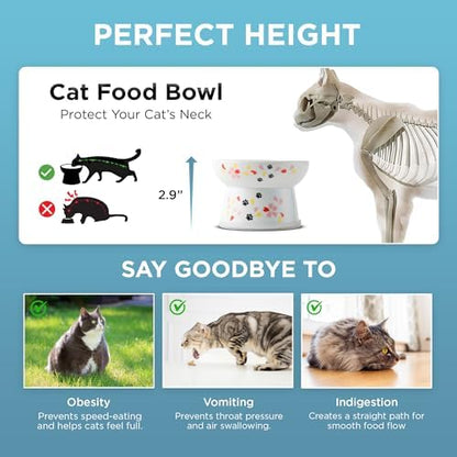 Necoichi Ceramic Elevated Cat Food Bowl (Sakura, Regular Flat) - Image 4