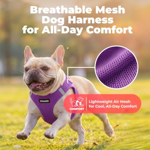 Voyager Step-in Air Dog Vest Harness - Purple, Small - Image 5