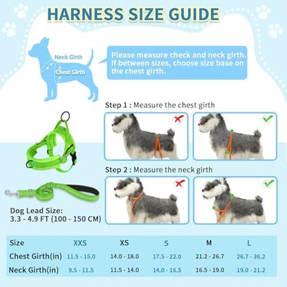 SlowTon No Pull Small Dog Harness and Leash Set with Front Clip - Image 5