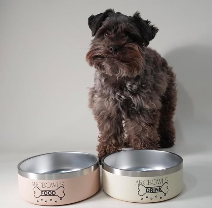 Pack of 2 Adorable Stainless Steel Pet Bowls – Non-Slip, Durable, Easy to Clean Food & Water Basic pet-Bowls for Small,Medium, Large Dogs and Large Cats 32 oz (4 Cups)