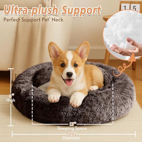 JOLLYVOGUE Calming Small Dog & Cat Bed for Indoor Cats - 20 inches Washable Donut Bed for Kittens & Puppies, Anti-Anxiety Round Fluffy Plush Pet Beds (Fits up to 15 lbs) - Image 4