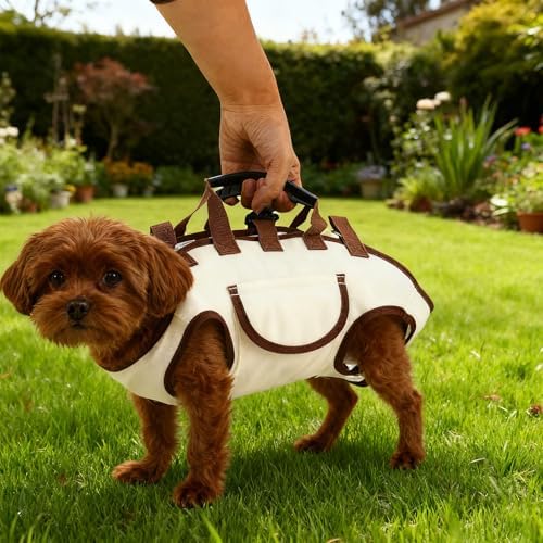 Snuggle Sling Dog Carrier, Adjustable Full Body Dog Lift Harness Hands-Free Shoulder Pet Carrier with Traction Leash Fit Most 8-13 lb/3.63-5.9 kg Portable Supply for Small Cat Pet - Image 6