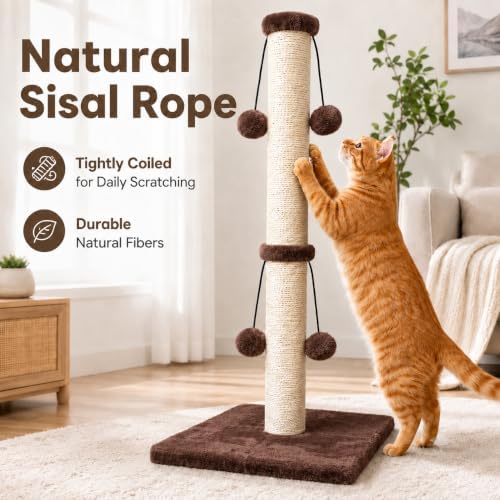 Dimaka Cat Scratching Post, Cat Scratcher for Large Cats with Teasing Toy Ball (Dark Brown, 29 inches for All Cats) - Image 5