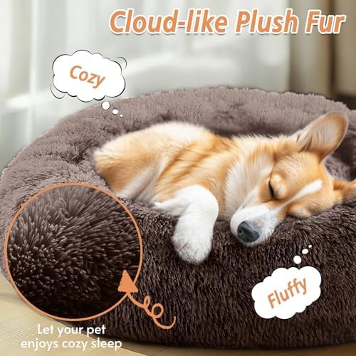 JOLLYVOGUE Calming Small Dog & Cat Bed for Indoor Cats - 20 inches Washable Donut Bed for Kittens & Puppies, Anti-Anxiety Round Fluffy Plush Pet Beds (Fits up to 15 lbs) - Image 2