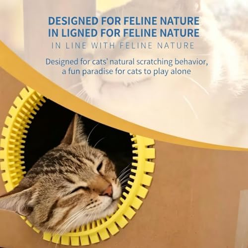 3-Pack Cat Self Groomer for Cardboard Box, Scratch Brushes with Box, Interactive Cat Arch Self Groomer with Scratching Pad, DIY Grooming Brush Ring, Hideouts & Enrichment Play (Purple Pink Yellow) - Image 4