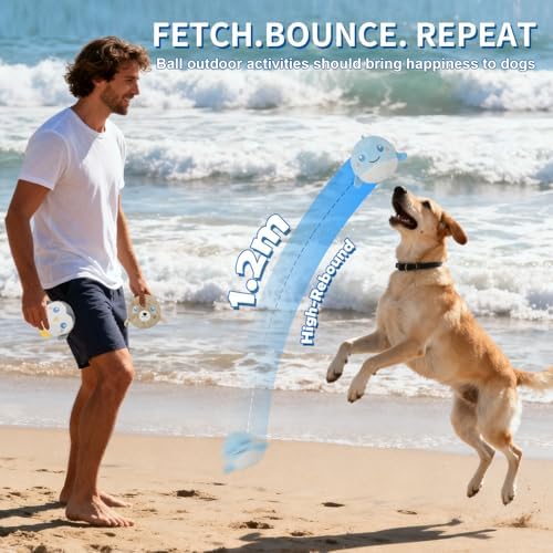 D KING D KING 3Pack Durable Plush Squeaky Dog Ball for Aggressive Chewers, Interactive Sound Dog Toy for Medium & Large Breeds, Tough Stitched Stuffed Chew Ball for Indoor & Outdoor Play(Ocean Ball) - Image 6