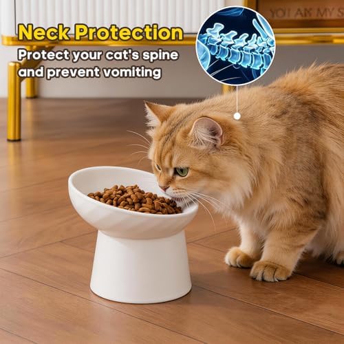 Ceramic Raised Cat Bowls - Elevated Tilted Cat Food and Water Bowls Set, Anti Vomiting and Protect Pets' Spines Pet Feeding Dish for Cats, Dishwasher Microwave Safe (2 x Bowl - White) - Image 3