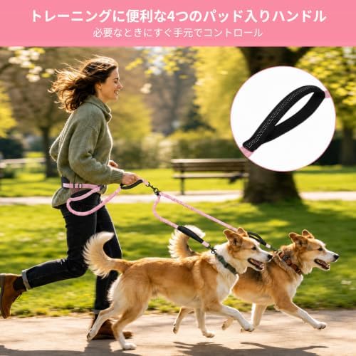 Hands Free Double Dog Leash, 4 Reflective Padded Handles, Adjustable Waist Belt 27-51", Shock-Absorbing Bungee, 360° Swivel Clips, for Small, Medium & Large Dogs, Walking Jogging Running - Image 3