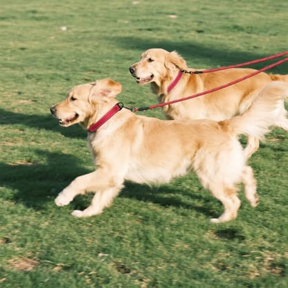 Taglory Double Dog Leash Coupler for Two Dogs, 1/3" Lightweight Dual Leash Extension for Small and Medium Dogs, No Tangle 360° Swivel, Reflective Rope, 30 Inch, Red - Image 7