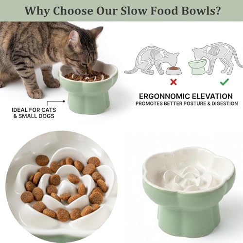 Ceramic Elevated Slow Feeder Cat Bowl, Whisker Friendly Dish 5.7" - Image 3