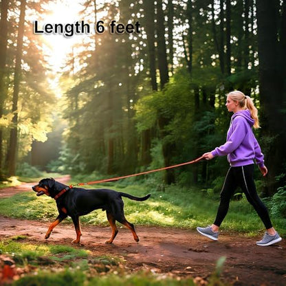 Heavy Duty Double Handle Dog Leash 6 ft Long for Total Control, Padded 2 Handle, Reflective Training Lead for Medium Large Dogs (Orange, 6 FT) - Image 3
