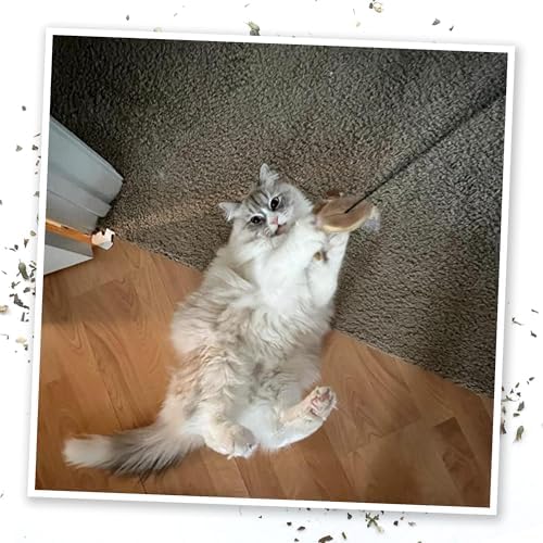 Meowijuana Jump 'n' Jamb Monkey Cat Toy and Catnip Blend | High Potency - Image 6