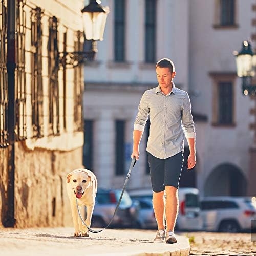 PetiFine 6FT Heavy Duty Dog Leash with Soft Padded Double Handle - Image 6