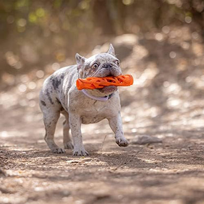Chuckit! Air Fetch Stick Dog Toy, Large, Orange - Image 6