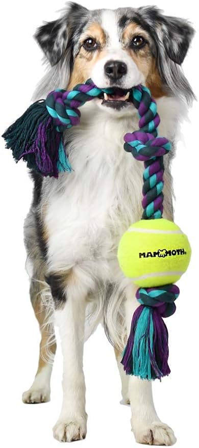 Mammoth Flossy Chews Color 3 Knot Tug w/Standard Tennis Ball – Premium Cotton-Poly Tug Toy for Dogs – Interactive Rope Dog Toy 20” - 2 Pack Assorted Colors