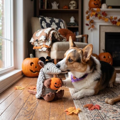 Hollypet Armadillo Squeaky Puppy Dog Toys for Small Medium Dogs, Halloween - Image 7