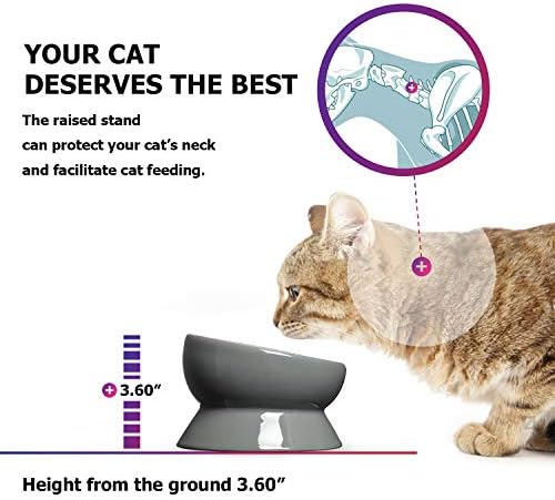Y YHY Elevated Cat Food Bowl, Raised Pet Food and Water Bowl, Ceramic, 15oz - Image 6