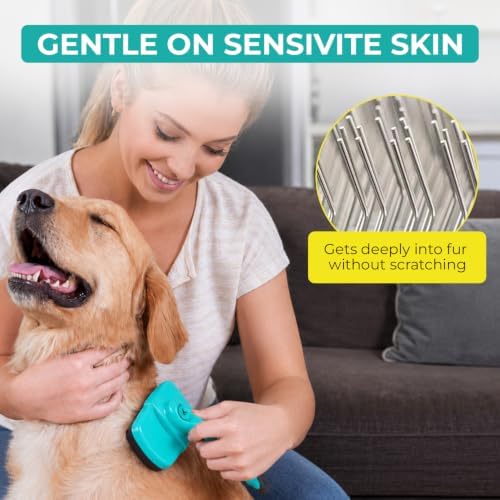 Hertzko Dog Brush for Shedding - Self Cleaning Slicker Brush for Dogs and Cats - Gently Removes Loose Hair, Tangles, and Dirt - Grooming Comb Suitable for Long or Short Coats - Aqua - Image 2