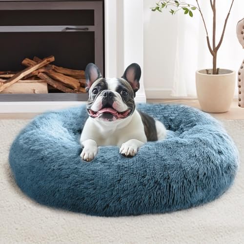 JOLLYVOGUE Calming Small Dog & Cat Bed for Indoor Cats - 20 inches Washable Donut Bed for Kittens & Puppies, Anti-Anxiety Round Fluffy Plush Pet Beds (Fits up to 15 lbs, Blue) by JOLLYVOGUE